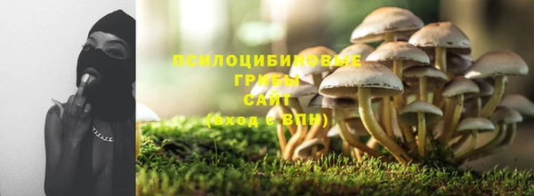 винт Армянск