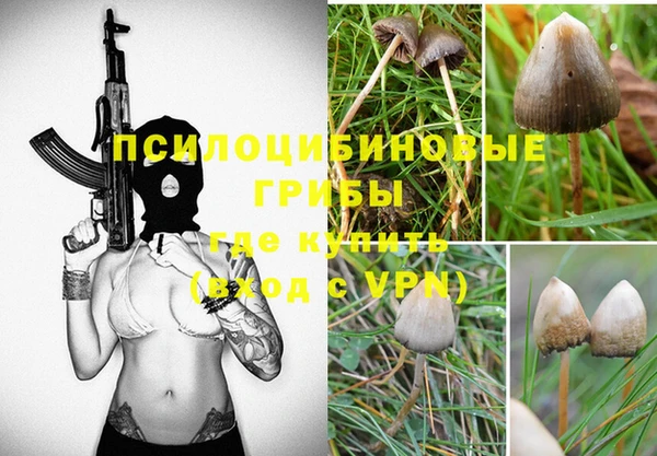 марки lsd Алексеевка